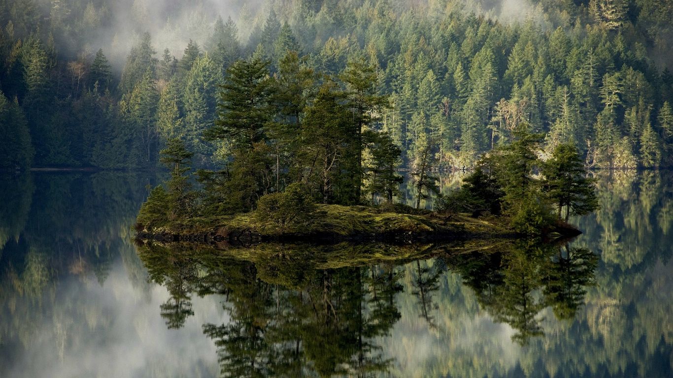 1366x768 Download wallpaper 1366x768 forest, lake, reflection, island, mist