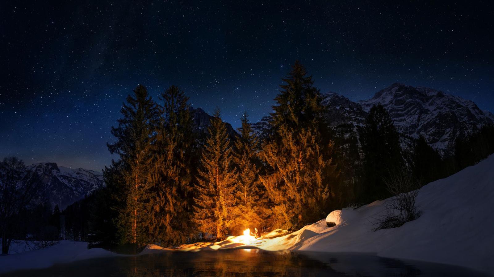 1920x1080 1920x1080 Campfire Forest Laptop Full HD 1080P HD 4k Wallpapers
