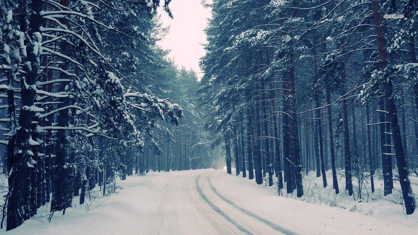 1366x768 Snow Forest Wallpapers