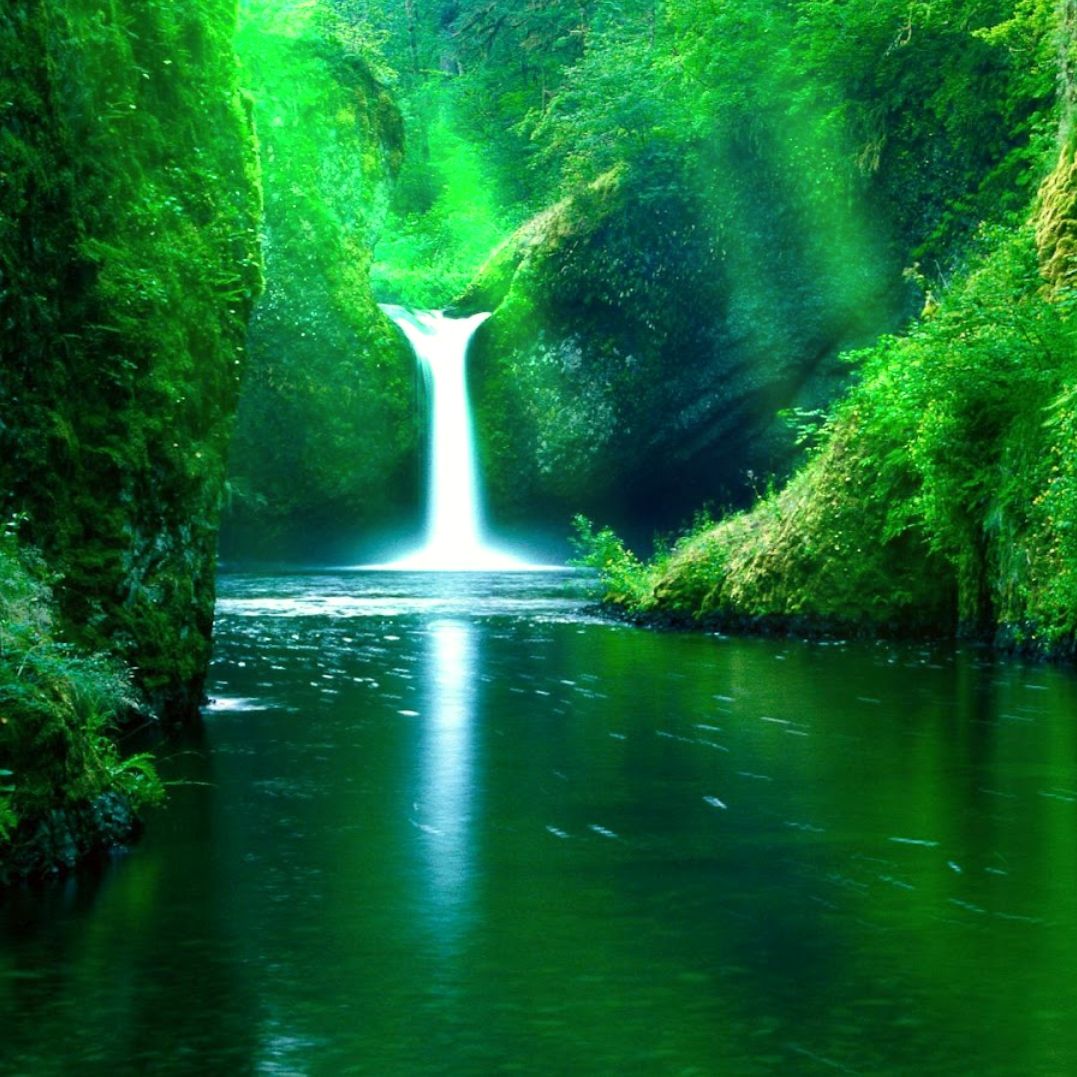 1077x1077 Steam Workshop :: waterfall-forest-green-full-HD-nature-background