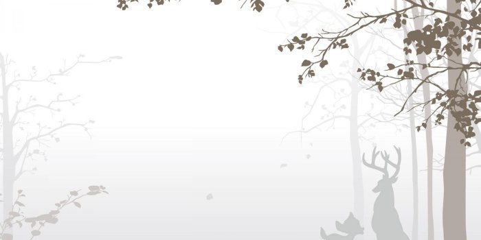 1920x1080 Bambi wallpaper Bambi Wallpaper Download Bambi Wallpaper Stunning