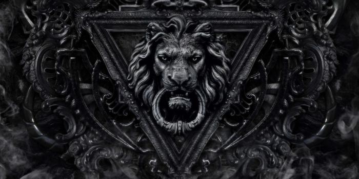 2560x1600 Wallpapers Black Lion