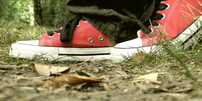 3618x2714 The Grass was Greener ~ The Light was Brighter HD Wallpaper