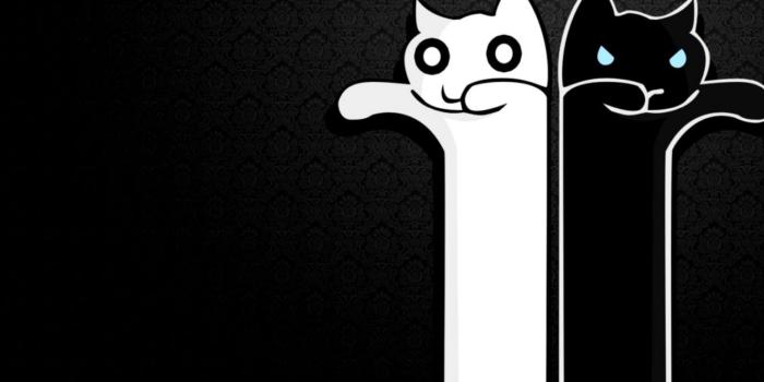 1324x810 Long Cats Black And White Wallpaper | All HD Wallpapers Gallery