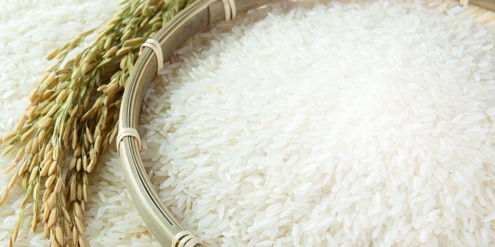 1920x1080 Rice Wallpapers