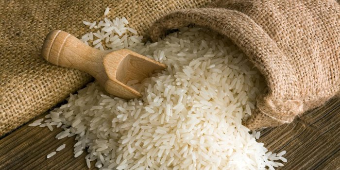 1920x1080 HD Rice Wallpapers | Download Free - 487999