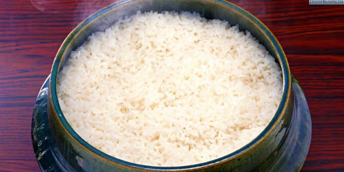 1920x1080 Hot Plane Rice Wallpaper