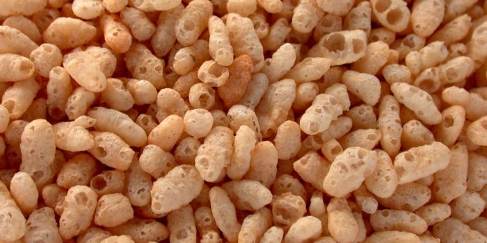 1600x1200 Rice Krispies wallpapers - Free Desktop Wallpapers (200310311)