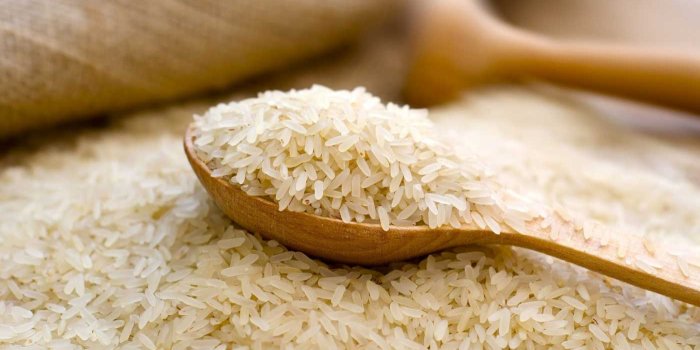 1400x875 Caribbean Agri Business