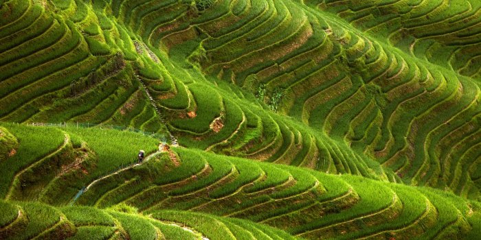 1600x1200 Rice Terrace Wallpapers and Background Images - stmed.net
