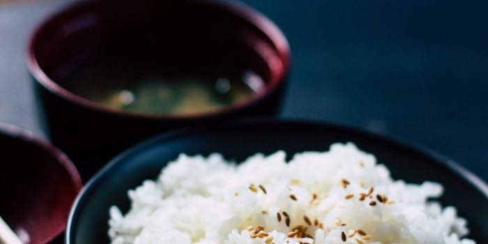 1000x1500 100+ Rice Pictures | Download Free Images on Unsplash