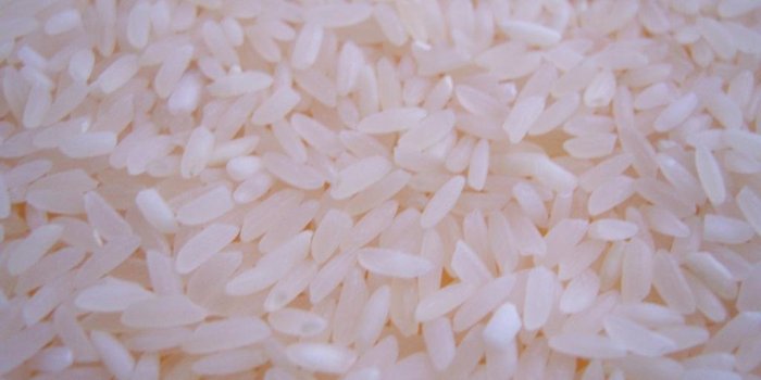 1024x768 Rice wallpapers 1024x768 desktop backgrounds