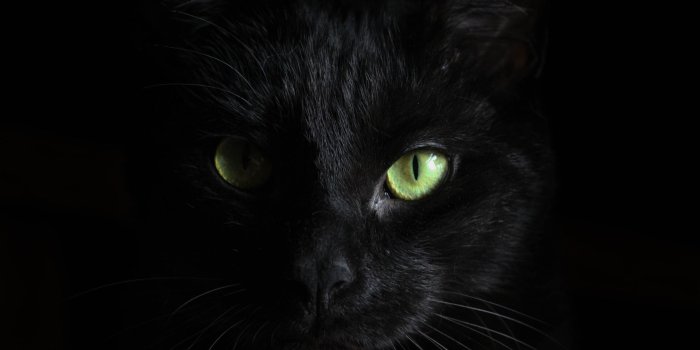 2048x1152 2048X1152 Black Wallpapers - Top Free 2048X1152 Black Backgrounds