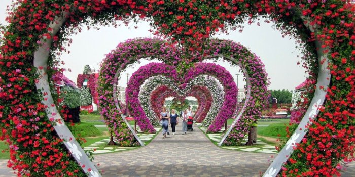 1920x1080 Garden Wallpapers (74+ background pictures)