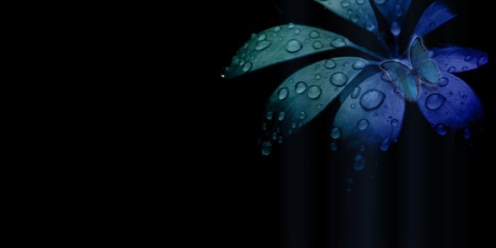 2048x1280 Professional Desktop Wallpapers - Top Free Professional Desktop