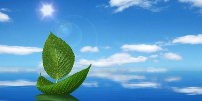 1920x1080 65+ Professional Wallpapers on WallpaperPlay