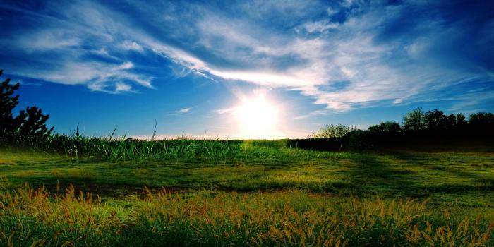 1920x1200 Windows Xp Professional Wallpaper (44+ images)