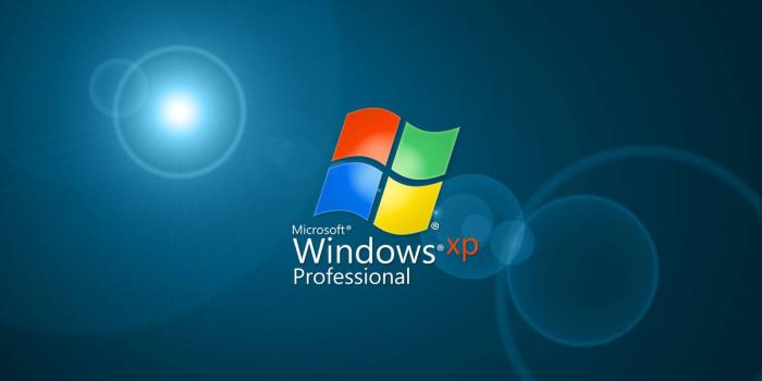 1600x1000 Are you looking for Windows XP Professional HD Wallpapers? Download