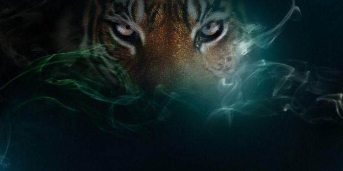 1280x800 Cool Tiger Backgrounds