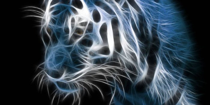 1441x1280 Cool Tiger Wallpaper by rewsss2 - 6a - Free on ZEDGE™