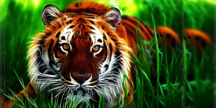 1920x1080 78+ Neon Tiger Wallpapers on WallpaperPlay