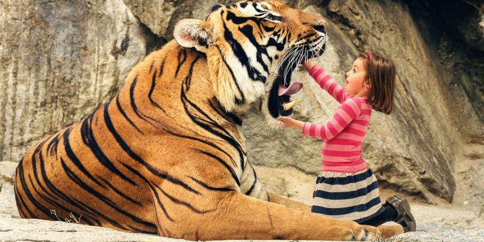 1600x900 Say Aah Tiger - Cool Background Cool Tiger (#539809) - HD Wallpaper