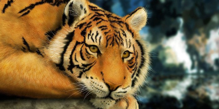 1920x1200 Tiger Wallpaper for Android