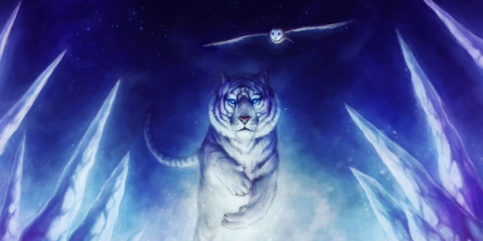 2880x1800 Tiger Wallpaper k Best Cool Tiger Wallpapers . apk rh