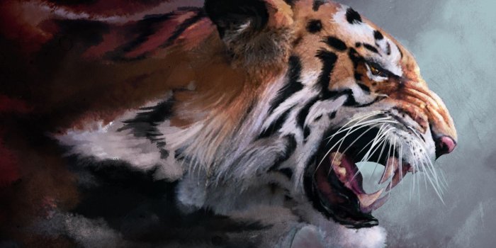 2299x1440 Cool Tiger Backgrounds (63+ pictures)