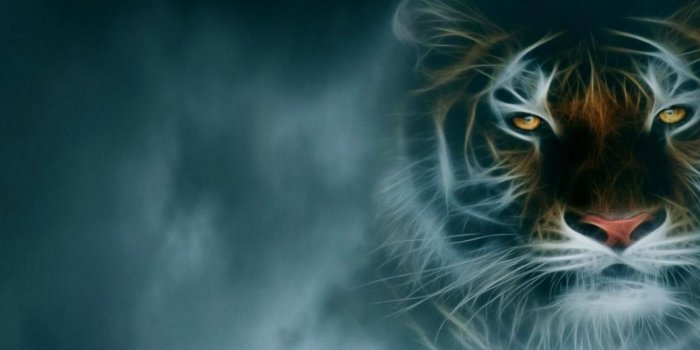 1920x1080 Cool Tiger Backgrounds ·① WallpaperTag