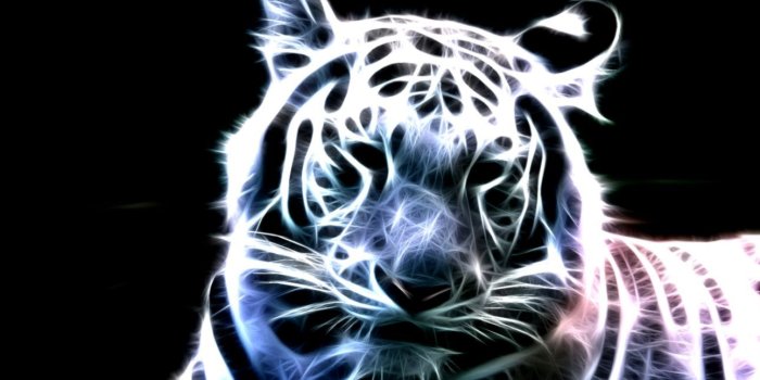 1292x698 Amazing Tiger Wallpaper 3D Tiger Wallpaper | Amazing Wallpapers