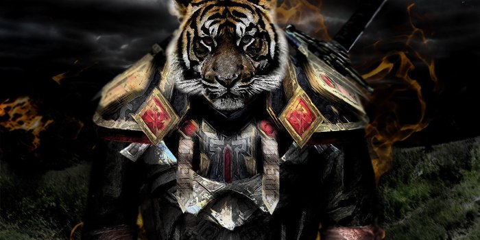 1440x900 Cool Tiger Warrior Wallpaper
