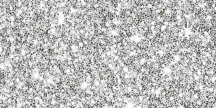 736x1308 33769967 Hailee on Holographic❤️ in 2019 | Wallpaper