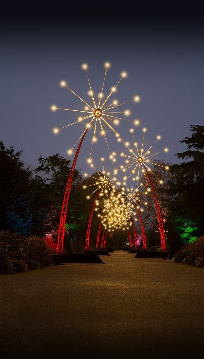 688x1206 Closed - Pixel 3A stock wallpaper and couple of cool amoled