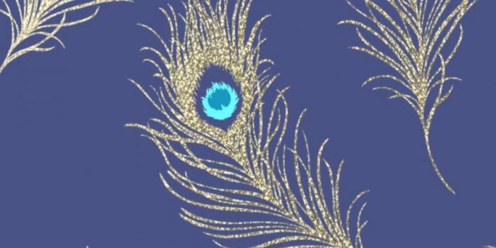 888x950 Glitter Feather Picks Wallpaper | Wallpapers Heroes