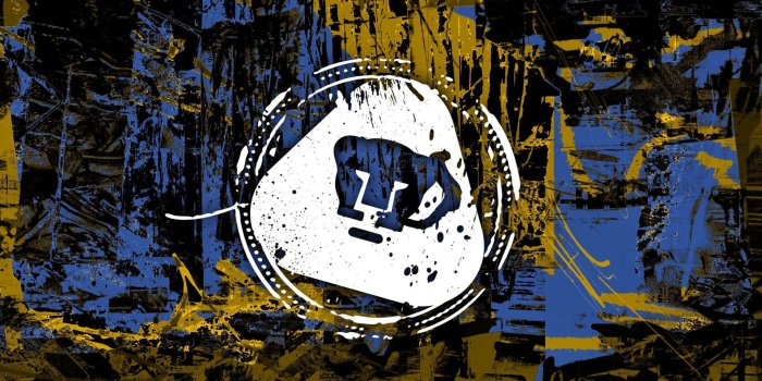 1920x1200 62+ Pumas Wallpapers on WallpaperPlay