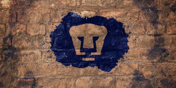 1920x1200 62+ Pumas Wallpapers on WallpaperPlay