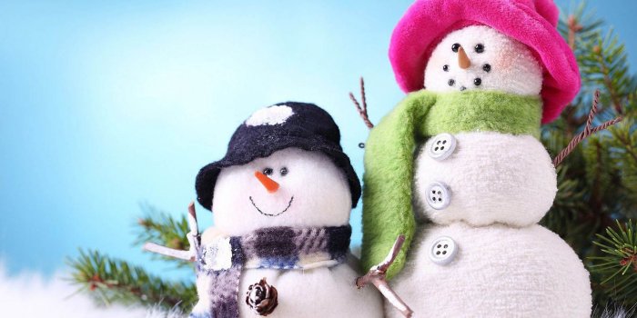 1600x1000 50+ Real Snowman Wallpapers - Download at WallpaperBro