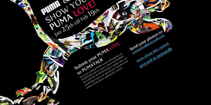 1600x1125 RZ67 4K Ultra HD Puma Wallpaper, Puma Wallpapers for Desktop