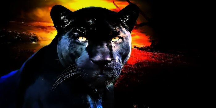 1600x1050 Kool HD Desktop Black Panther Wallpaper | Animals in 2019 | Black