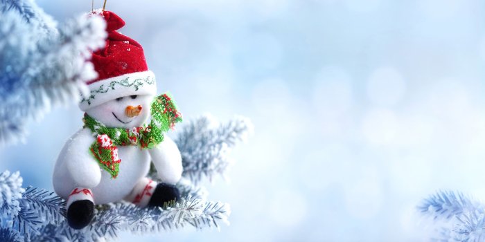 2560x1440 Images New year Scarf Winter hat Snow Snowmen 2560x1440