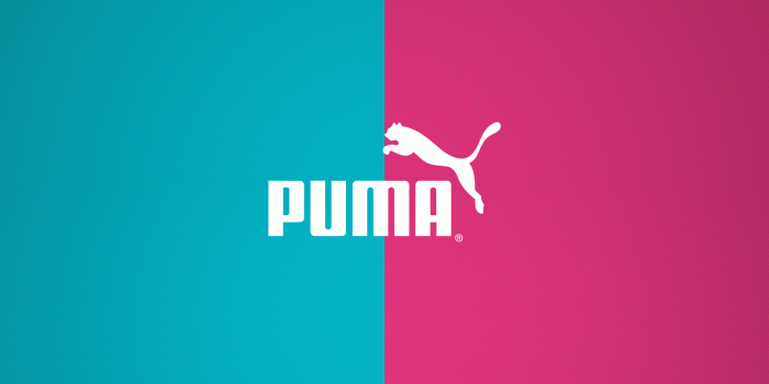 1920x1080 RZ67 4K Ultra HD Puma Wallpaper, Puma Wallpapers for Desktop