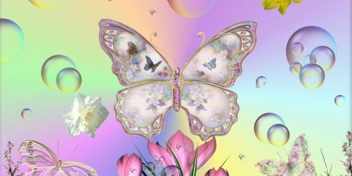 1024x768 Butterflies In Spring - Butterflies Photo (17274857) - Fanpop