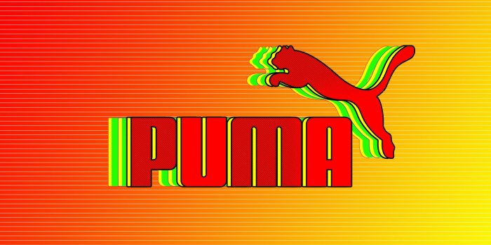 1600x1000 RZ67 4K Ultra HD Puma Wallpaper, Puma Wallpapers for Desktop