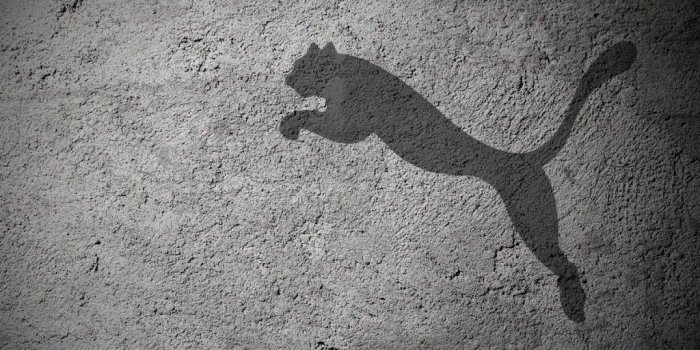 1024x768 Puma Wallpaper - Wallperio.com