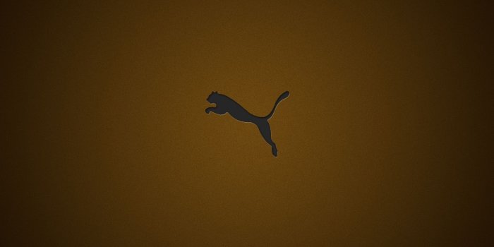 1920x1200 For Your Desktop: 47 Top Quality Puma Wallpapers, BsnSCB.com