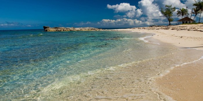 1800x1125 landscape, Nature, White, Sand, Beach, Caribbean, Sea, Palm Trees
