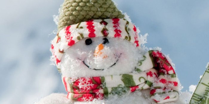 1080x1920 Christmas Snowman Android wallpaper - Android HD wallpapers