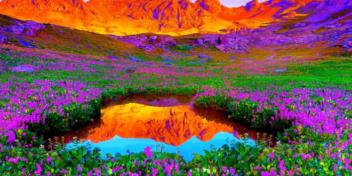 3000x2000 Scenic HD Wallpaper | Background Image | 3000x2000 | ID:444080