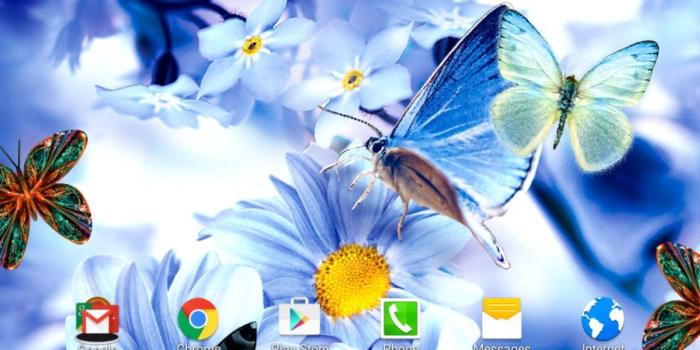 1164x752 Beautiful Spring Photos Butterflies Wallpaper | hippiehippieshakeshake